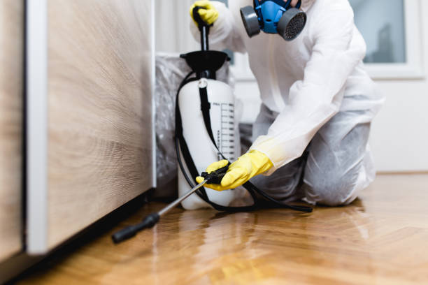 Wasp Removal Services in Seven Oaks, SC