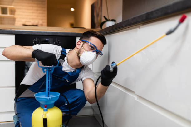 Best Mosquito Control Services  in Seven Oaks, SC