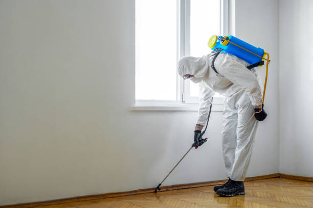 Best Best Pest Control Companies  in Seven Oaks, SC