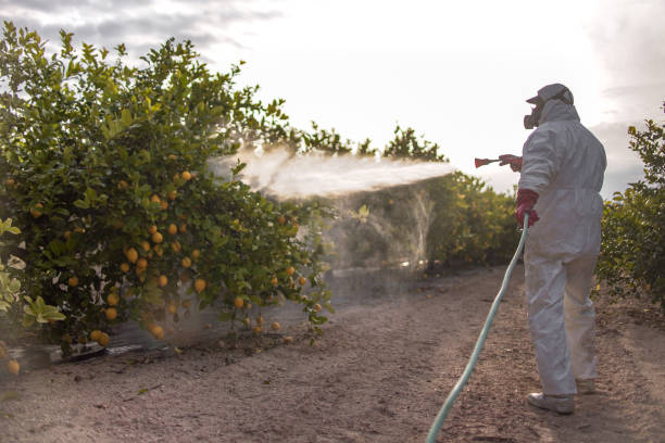 Best Pest Control for Restaurants  in Seven Oaks, SC