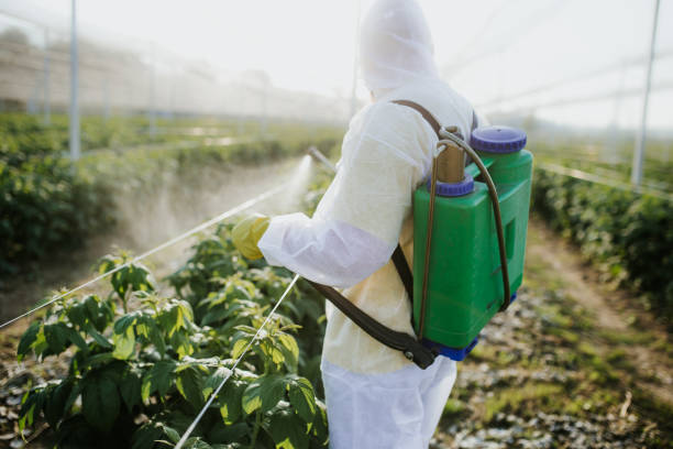 Best Mosquito Control Services  in Seven Oaks, SC